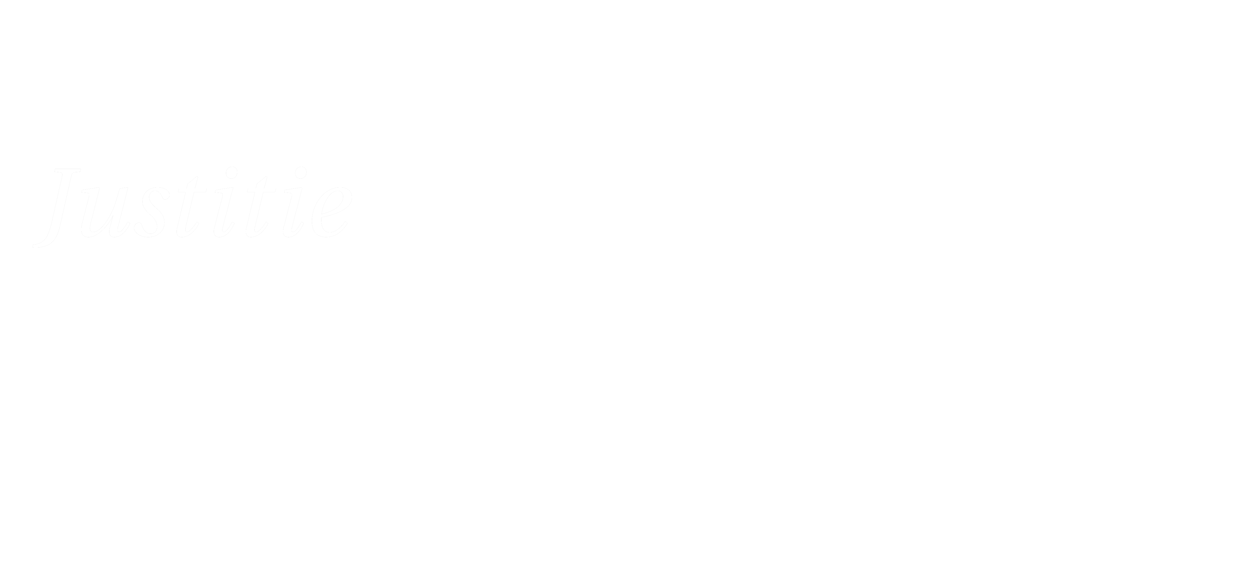 ministerie van justitie DE VINK SECURITY